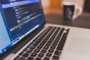 Jak działa PayPal: przewodnik dla początkujących