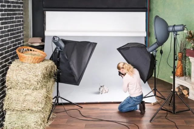 Jakie są zalety i wady korzystania z aparatów bezlusterkowych w studiu fotograficznym?